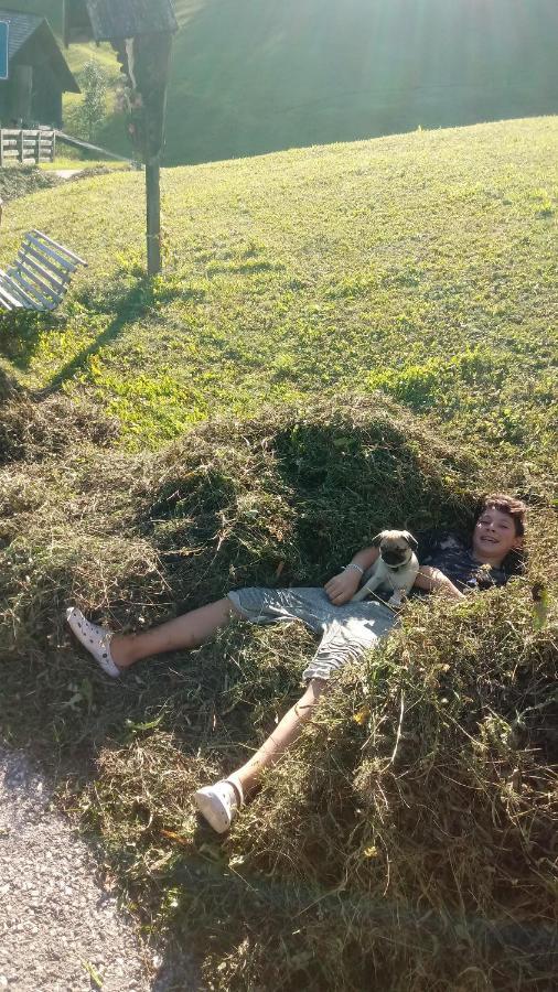 Agriturismo La Flu San Martino in Badia Bagian luar foto
