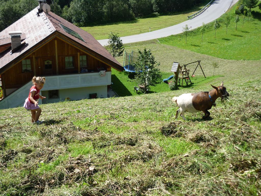 Agriturismo La Flu San Martino in Badia Bagian luar foto